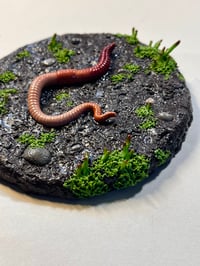 Image 2 of Worm Wall Plaque