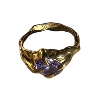 Image 1 of Violet Empress