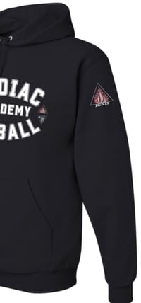 Image 2 of Zodiac Academy Pitball Apparel