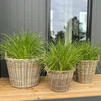 Image 4 of Harolds Signature Baskets - Tapered - Lined