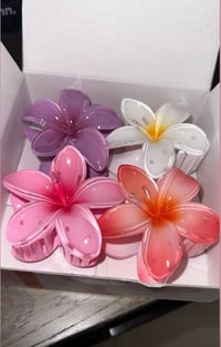 Image 3 of 4 Pack of Iconic Clips