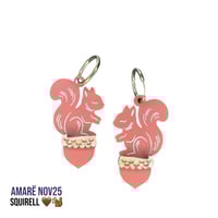 Squirell 🐿️🤎