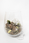 animal terrarium