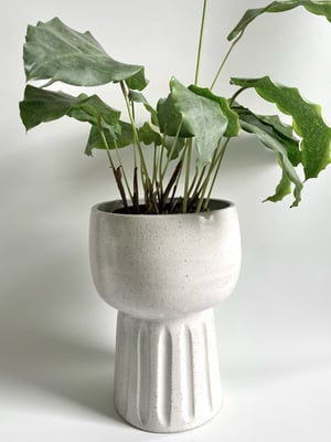 Image of Pedestal bowl/planter 