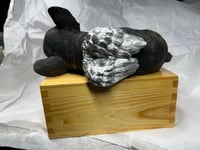 Image 17 of Custom Engraved French Bulldog Urn Handpainted To Your Photos