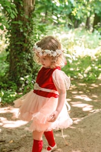 Image 3 of The Christmas rose tone set 