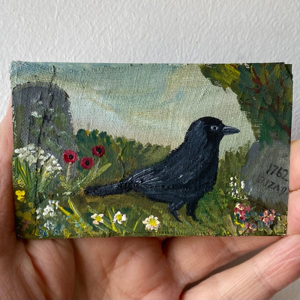 Image of a jackdaw in the summer churchyard 