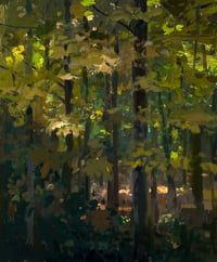 Image 2 of October Maples