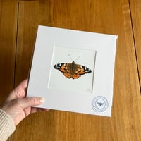 Painted Lady Butterfly Giclee Print
