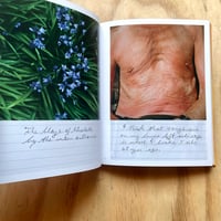 Image 5 of Kaylynne Deveney - The Day To Day Life Of Albert Hastings