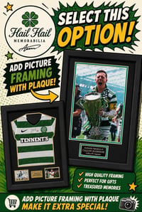 ADD FRAME WITH PLAQUE FOR A4 / 12x8
