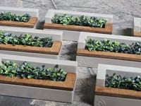 Image 5 of PLAZA PLANTER - V2