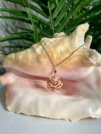 Image 2 of Scallop Shell Necklace N197