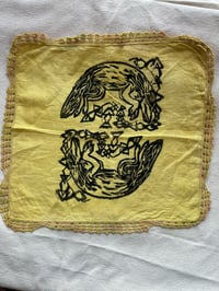 Image 1 of Coyote magic cloth