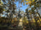 Image of Glass house sessions August 23