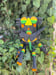 Image of The Psychseers - Limited Edition Forest Colours