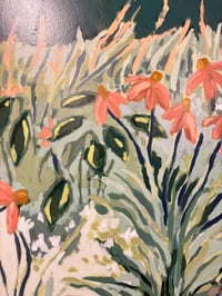 Image 5 of Coneflowers: Stoneleigh