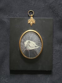 Image 1 of ANTIQUE ANATOMICAL ANIMAL COLLECTION - & Preserved web 6
