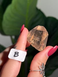Image 2 of CHOOSE YOUR OWN MINI RUTILE SMOKEY QUARTZ POINTS (NATURAL UNPOLISHED POINTS) -BRAZIL- LOT 1