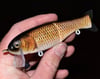 Finesse Floater - “Reelest Carp/Shiner” 🏆