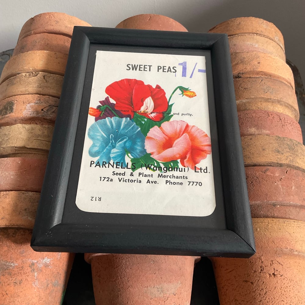 Image of Sweet Peas