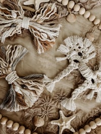 Image 3 of Beachy Mystery Zara Bows