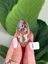 Image 9 of SMALL SANGRIA LACE AGATE SHIVAS