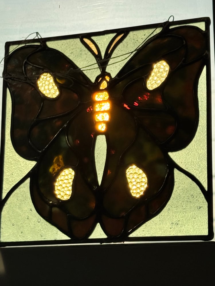 monochrome(ish) moth