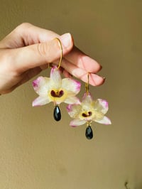 💛Dendobrium Orchids with Crystals💛Golden