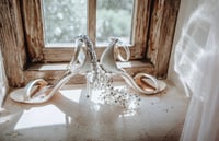 Wedding/ Event  Super Deluxe 