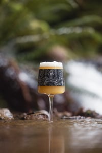 𝕬𝖓𝖎𝖛𝖊𝖗𝖘𝖆𝖗𝖎𝖔 𝕴𝕴 - Brujos x Hop Fiction Edel Glass 