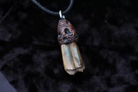 Image 1 of Dead good stained sheep tooth necklace large