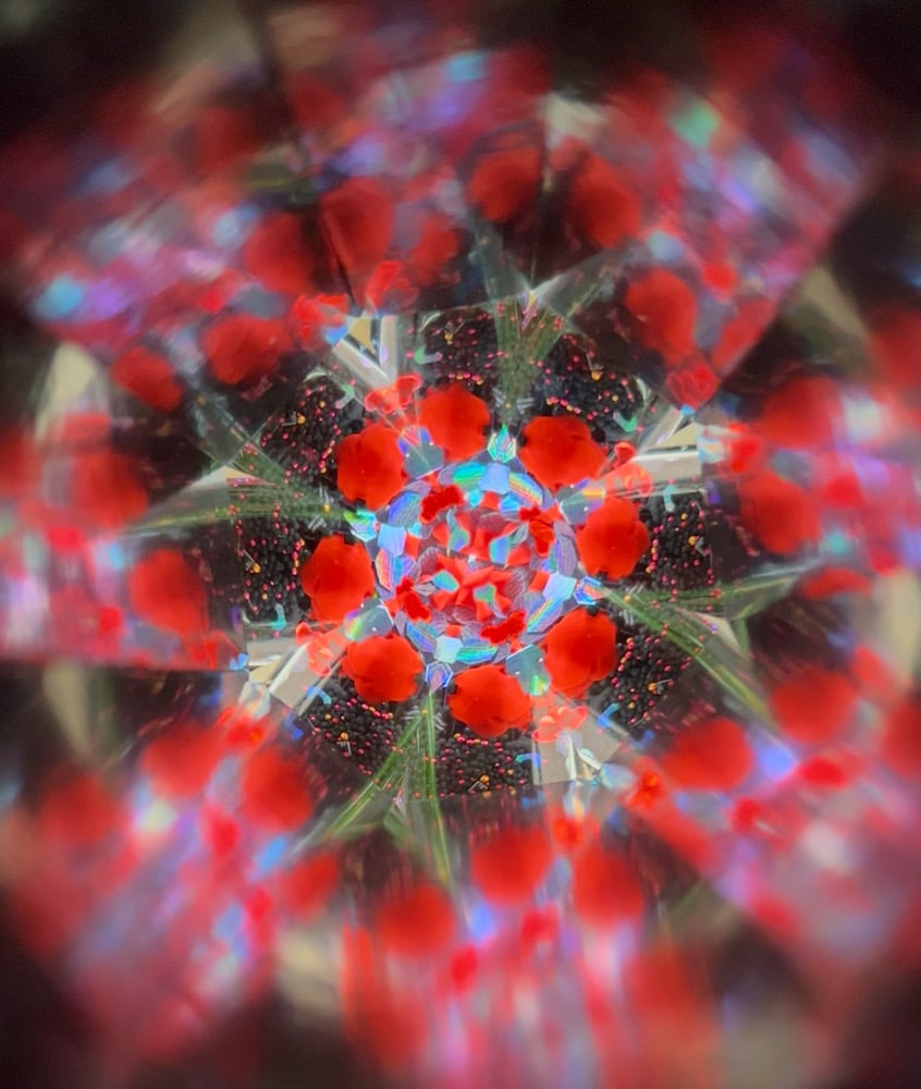 Image of Romantic Goth Odyssey AuraScope