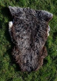 Image 1 of Harting Black Sheepskin #1