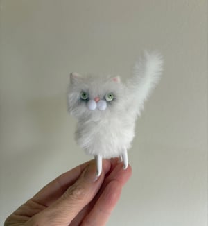 Image of Bitty Fluffy Cat In White