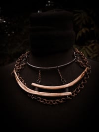 Image 4 of rib stacks