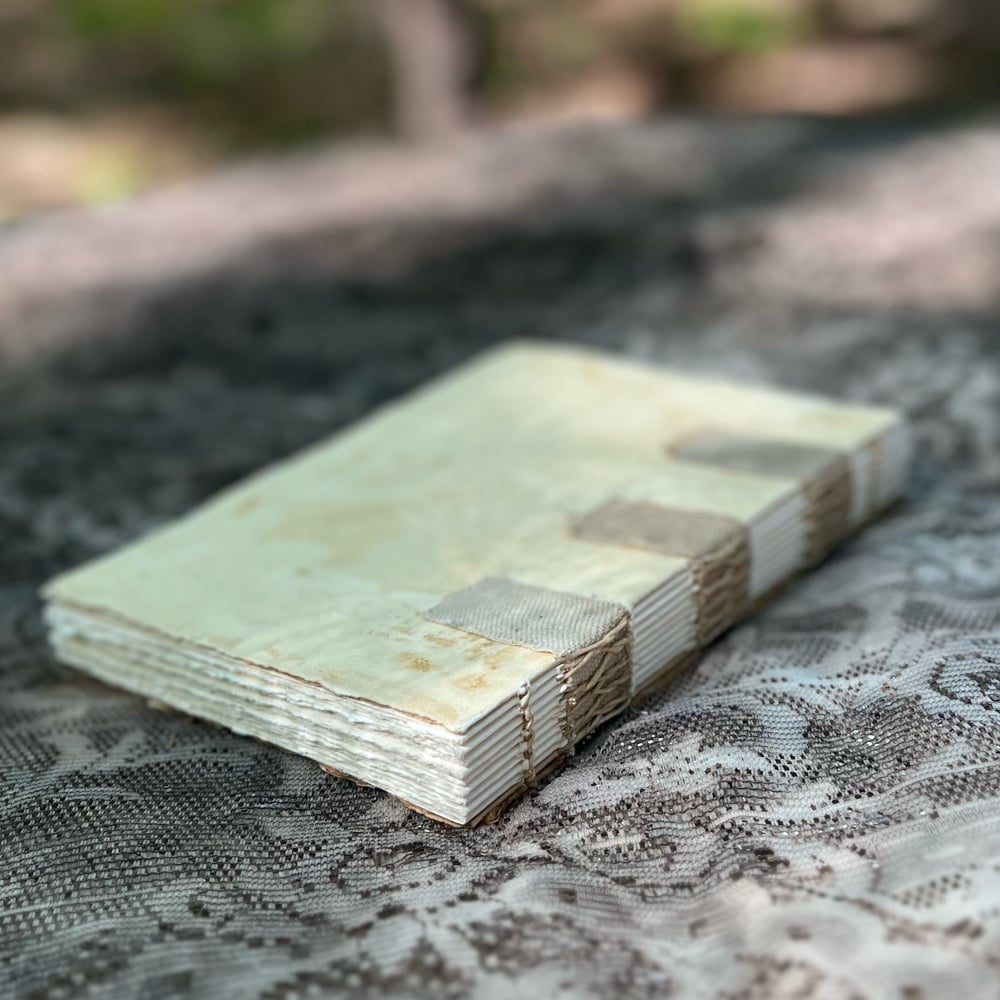 Stonehenge mushroom sketchbook with studs