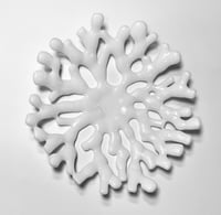 Image 2 of  Coral Dish 12”