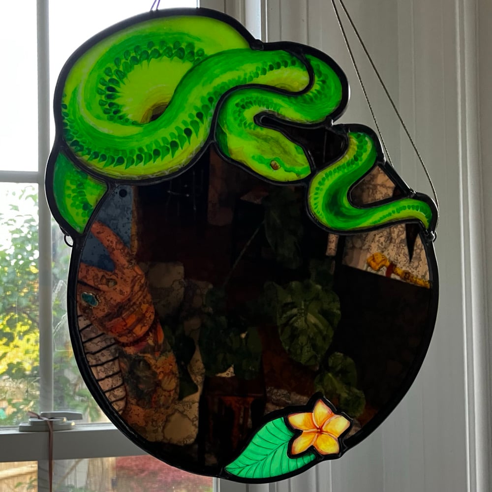 Image of Plumeria & Python Mirror