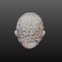 Image 4 of Bastard Unpainted 