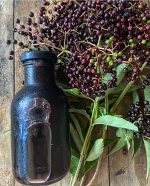Image of Fresh Organic Elderberry Syrup Preorder 250ml  