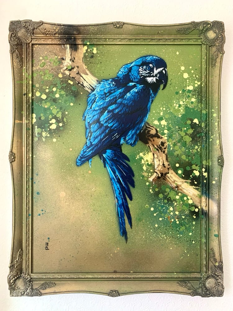 Image of ‘Blue Macaw (after Edwin Penny)’