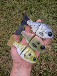 Image 1 of  Buddy Gill Glide