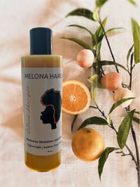Citrus Shampoo