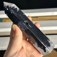 Image 4 of Black Agate Tower (24A)