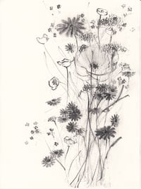 hedgerow no. 3