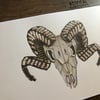 Rams head print (a4)