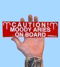 Image 2 of Zodiac Bumper Stickers