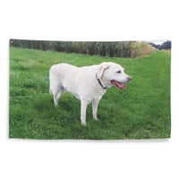Minnesota Fan Favorite Flag – "Dog"