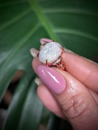 Image 3 of The Helen